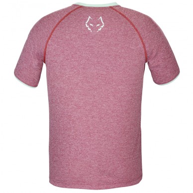 t-shirt Babolat Crew Neck Tee Lebron red rouge
