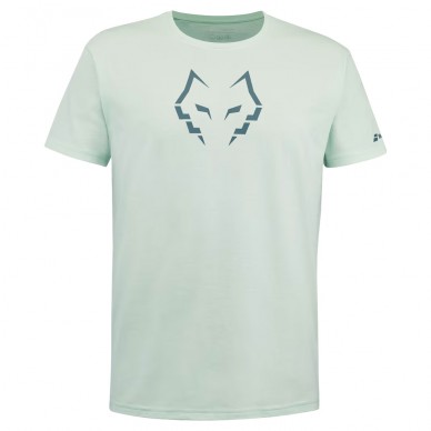 t-shirt Babolat Cotton Tee Lebron vert clair